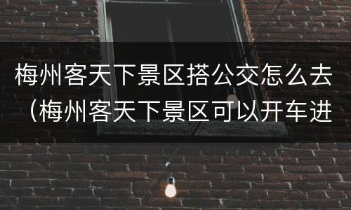 梅州客天下景区搭公交怎么去（梅州客天下景区可以开车进去吗）