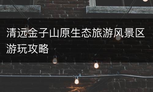 清远金子山原生态旅游风景区游玩攻略