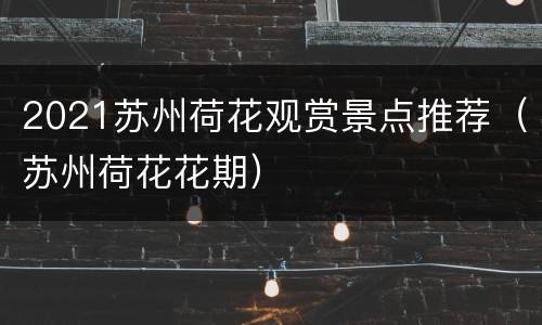 2021苏州荷花观赏景点推荐（苏州荷花花期）