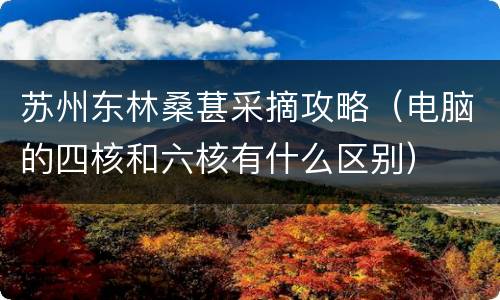 苏州东林桑葚采摘攻略（电脑的四核和六核有什么区别）