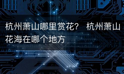 杭州萧山哪里赏花？ 杭州萧山花海在哪个地方
