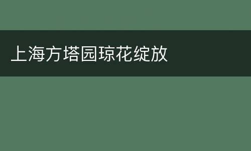上海方塔园琼花绽放