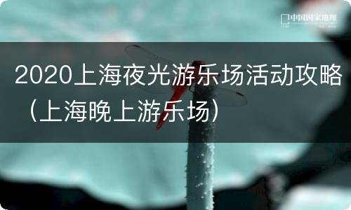 2020上海夜光游乐场活动攻略（上海晚上游乐场）