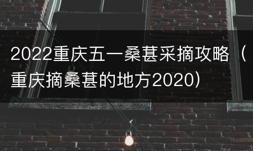 2022重庆五一桑葚采摘攻略（重庆摘桑葚的地方2020）