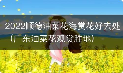 2022顺德油菜花海赏花好去处（广东油菜花观赏胜地）