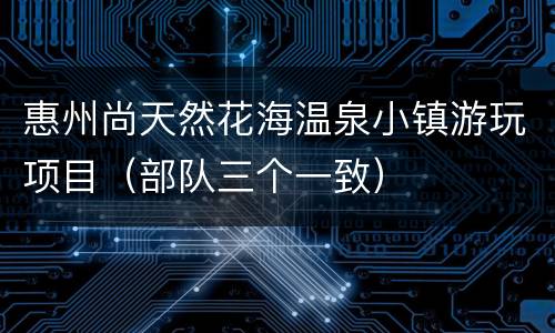 惠州尚天然花海温泉小镇游玩项目（部队三个一致）