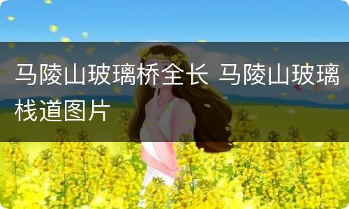 马陵山玻璃桥全长 马陵山玻璃栈道图片