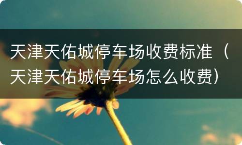 天津天佑城停车场收费标准（天津天佑城停车场怎么收费）