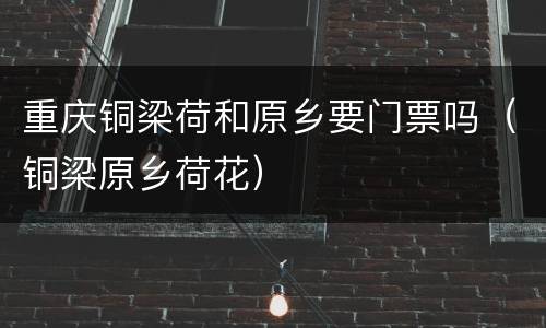 重庆铜梁荷和原乡要门票吗（铜梁原乡荷花）