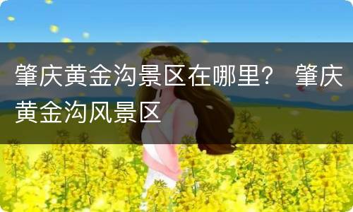 肇庆黄金沟景区在哪里？ 肇庆黄金沟风景区