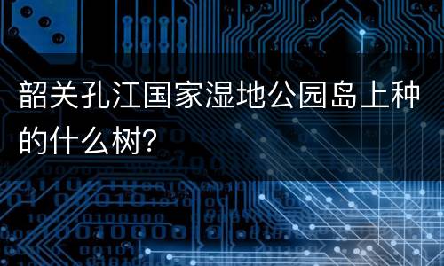 韶关孔江国家湿地公园岛上种的什么树？