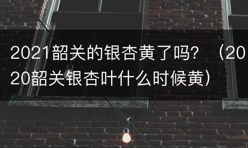 2021韶关的银杏黄了吗？（2020韶关银杏叶什么时候黄）