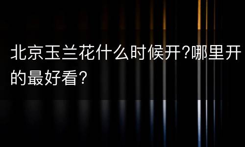 北京玉兰花什么时候开?哪里开的最好看?