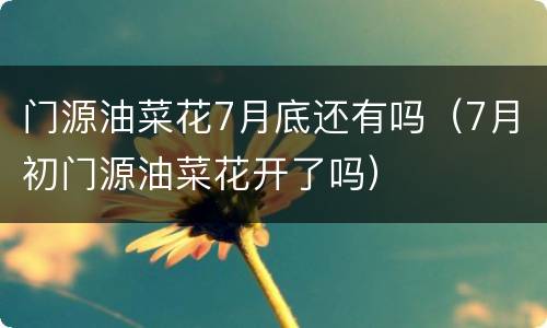 门源油菜花7月底还有吗（7月初门源油菜花开了吗）