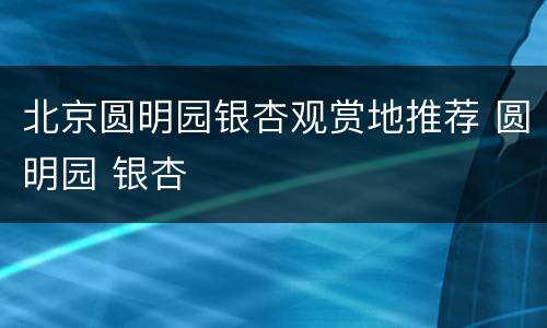 北京圆明园银杏观赏地推荐 圆明园 银杏