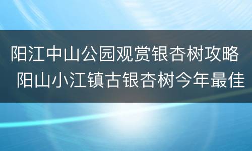 阳江中山公园观赏银杏树攻略 阳山小江镇古银杏树今年最佳观赏是几号