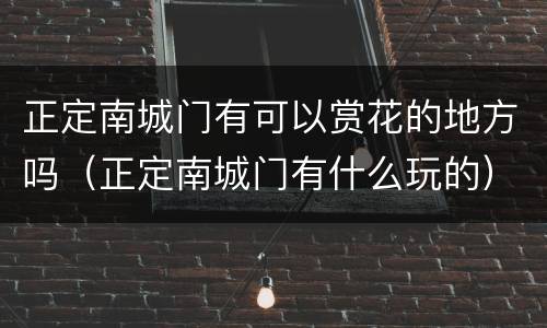 正定南城门有可以赏花的地方吗（正定南城门有什么玩的）