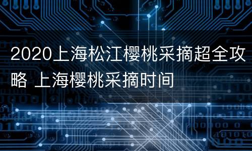 2020上海松江樱桃采摘超全攻略 上海樱桃采摘时间