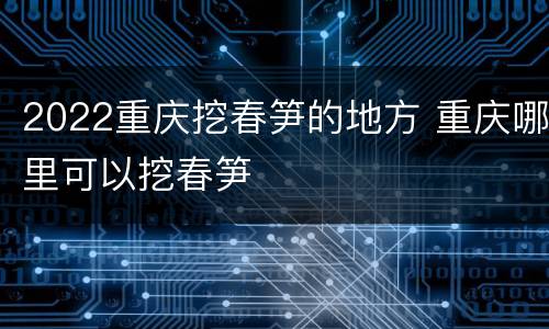 2022重庆挖春笋的地方 重庆哪里可以挖春笋