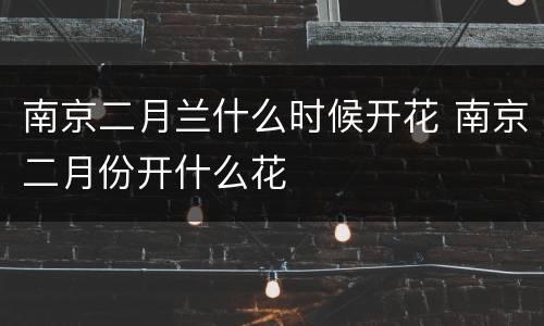 南京二月兰什么时候开花 南京二月份开什么花
