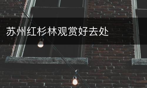 苏州红杉林观赏好去处