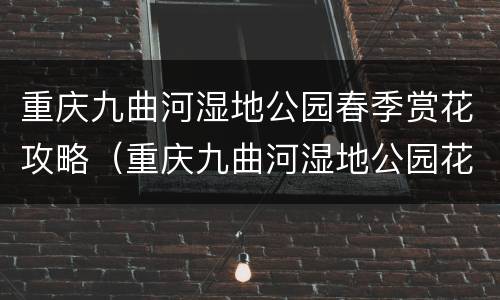 重庆九曲河湿地公园春季赏花攻略（重庆九曲河湿地公园花海）