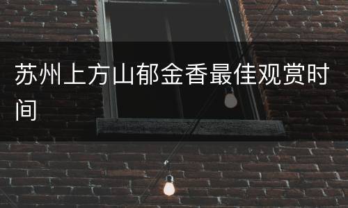 苏州上方山郁金香最佳观赏时间