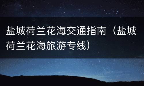 盐城荷兰花海交通指南（盐城荷兰花海旅游专线）