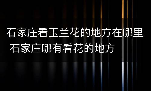 石家庄看玉兰花的地方在哪里 石家庄哪有看花的地方