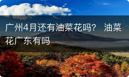 广州4月还有油菜花吗？ 油菜花广东有吗