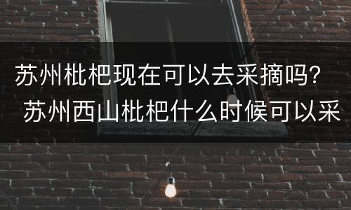 苏州枇杷现在可以去采摘吗？ 苏州西山枇杷什么时候可以采摘