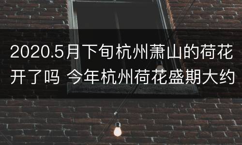 2020.5月下旬杭州萧山的荷花开了吗 今年杭州荷花盛期大约在什么时候?