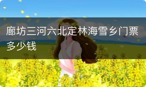 廊坊三河六北定林海雪乡门票多少钱