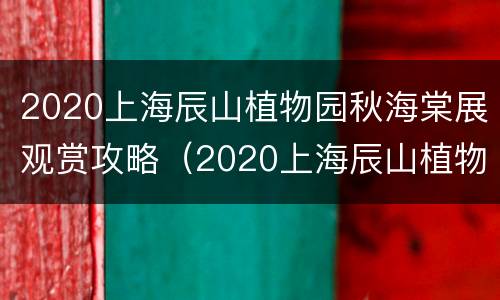 2020上海辰山植物园秋海棠展观赏攻略（2020上海辰山植物园秋海棠展观赏攻略视频）