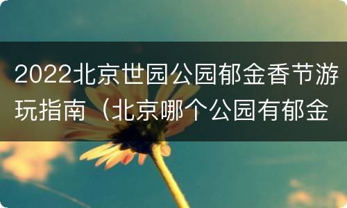 2022北京世园公园郁金香节游玩指南（北京哪个公园有郁金香花海）