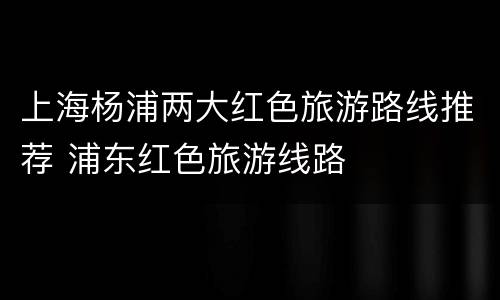 上海杨浦两大红色旅游路线推荐 浦东红色旅游线路