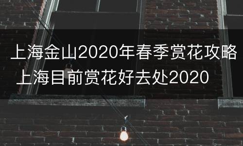 上海金山2020年春季赏花攻略 上海目前赏花好去处2020