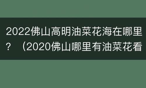 2022佛山高明油菜花海在哪里？（2020佛山哪里有油菜花看）