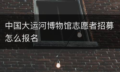 中国大运河博物馆志愿者招募怎么报名
