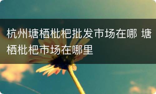杭州塘栖枇杷批发市场在哪 塘栖枇杷市场在哪里