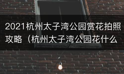 2021杭州太子湾公园赏花拍照攻略（杭州太子湾公园花什么时候开）