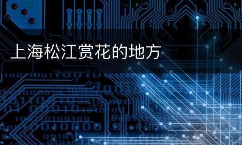 上海松江赏花的地方