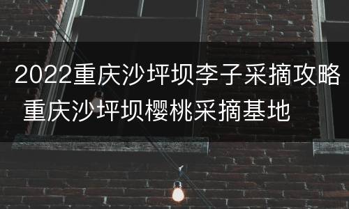 2022重庆沙坪坝李子采摘攻略 重庆沙坪坝樱桃采摘基地
