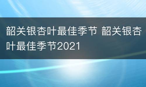 韶关银杏叶最佳季节 韶关银杏叶最佳季节2021