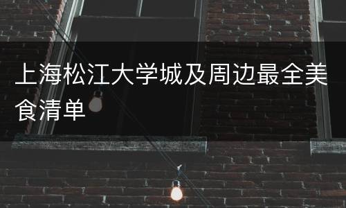 上海松江大学城及周边最全美食清单