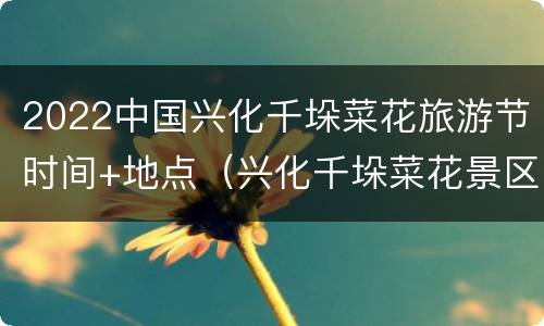 2022中国兴化千垛菜花旅游节时间+地点（兴化千垛菜花景区今天开园等你来）