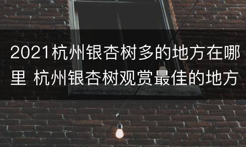 2021杭州银杏树多的地方在哪里 杭州银杏树观赏最佳的地方