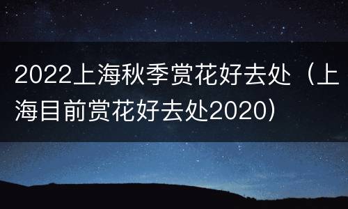 2022上海秋季赏花好去处（上海目前赏花好去处2020）