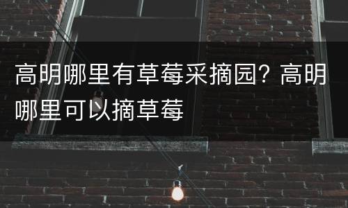 高明哪里有草莓采摘园? 高明哪里可以摘草莓