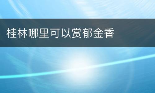桂林哪里可以赏郁金香